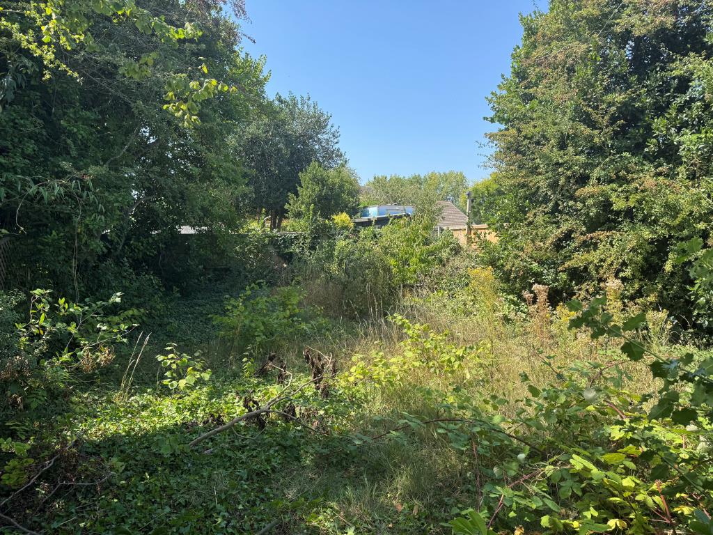 Lot: 12 - LAND WITH POTENTIAL - View of shrubs and growth within land